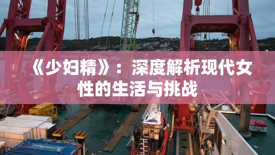 《少妇精》：深度解析现代女性的生活与挑战
