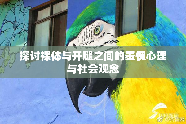 探讨裸体与开腿之间的羞愧心理与社会观念