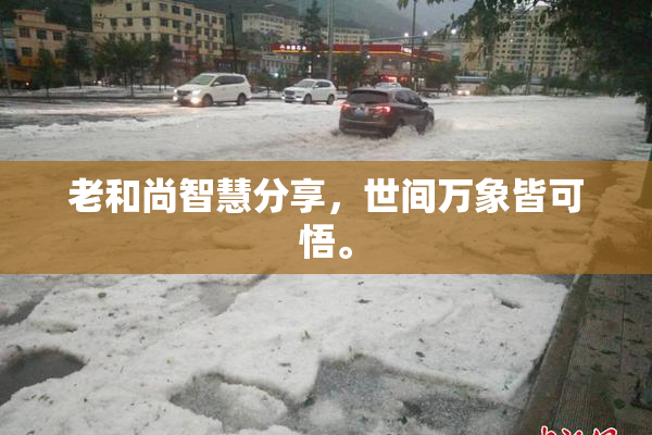 老和尚智慧分享，世间万象皆可悟。
