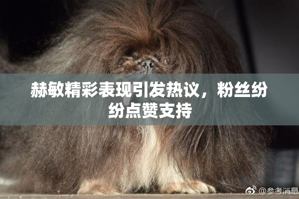赫敏精彩表现引发热议，粉丝纷纷点赞支持