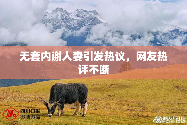 无套内谢人妻引发热议，网友热评不断