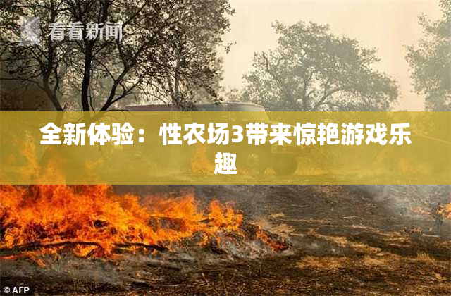 全新体验：性农场3带来惊艳游戏乐趣