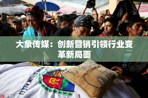 大象传媒：创新营销引领行业变革新局面