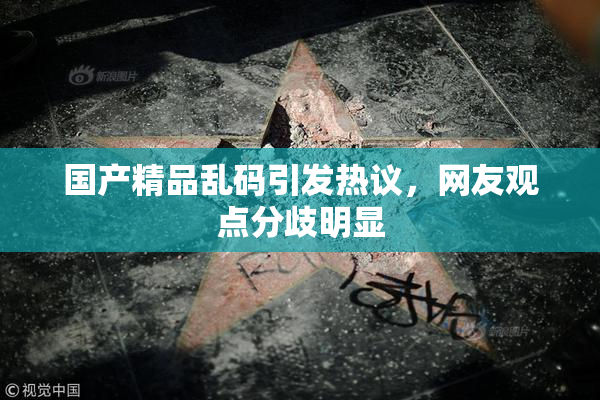 国产精品乱码引发热议，网友观点分歧明显