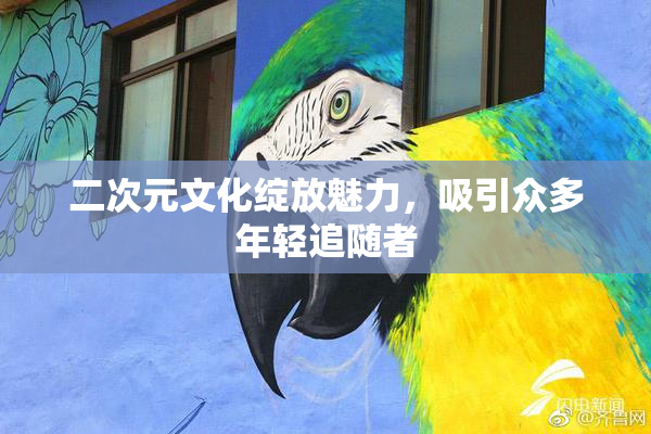 二次元文化绽放魅力，吸引众多年轻追随者