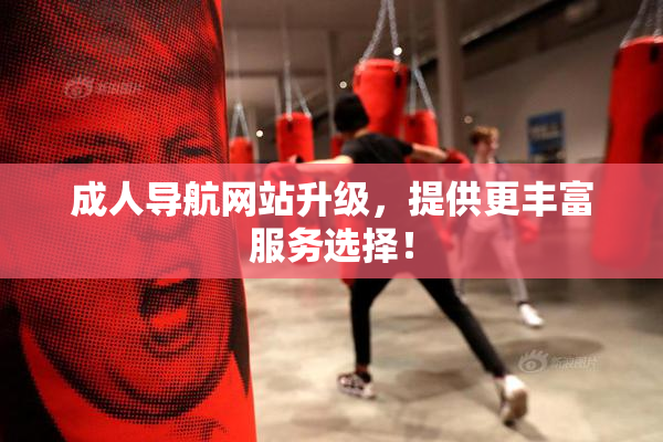成人导航网站升级，提供更丰富服务选择！