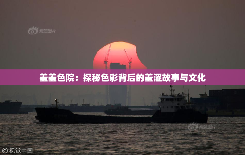 羞羞色院：探秘色彩背后的羞涩故事与文化