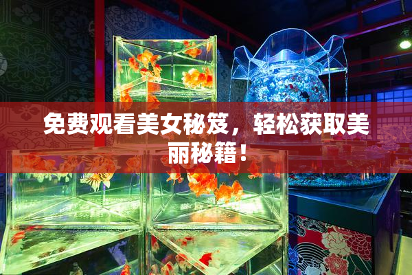 免费观看美女秘笈，轻松获取美丽秘籍！