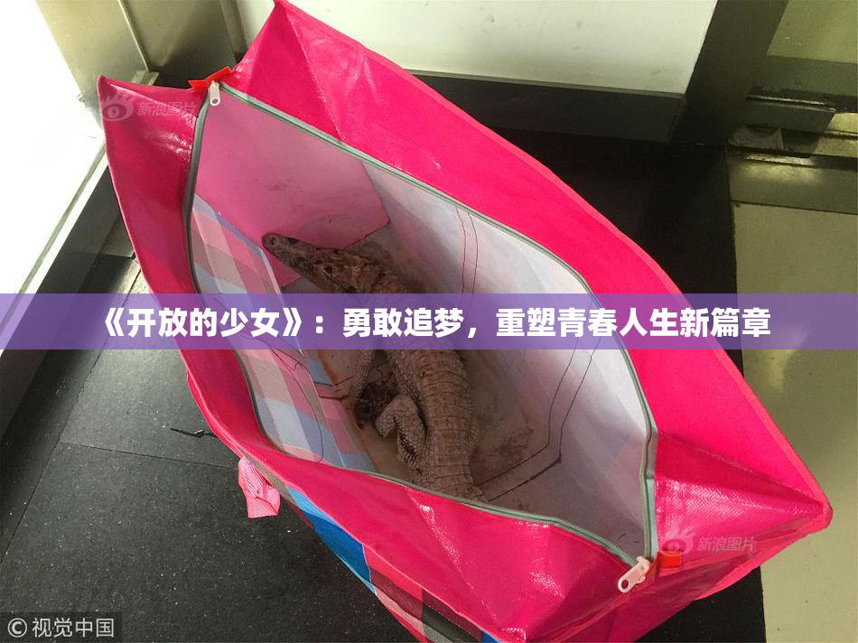 《开放的少女》：勇敢追梦，重塑青春人生新篇章