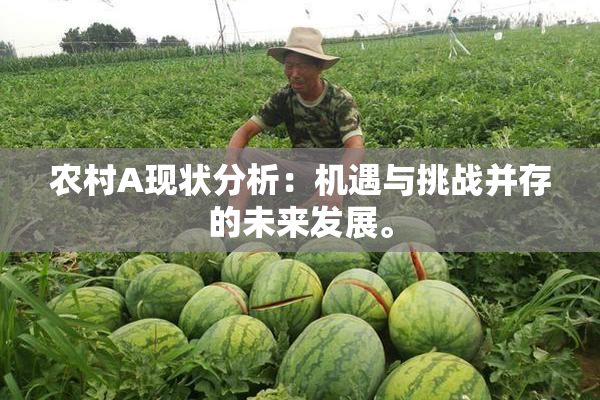 农村A现状分析：机遇与挑战并存的未来发展。
