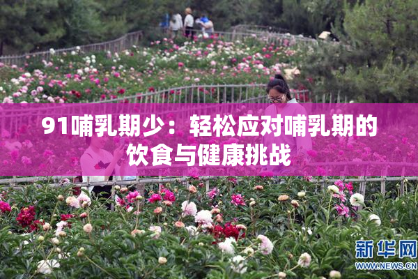 91哺乳期少：轻松应对哺乳期的饮食与健康挑战
