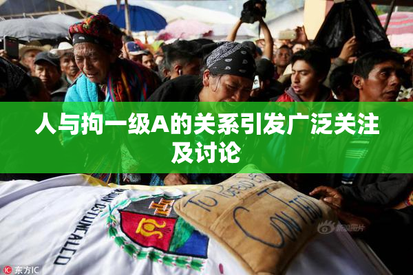 人与拘一级A的关系引发广泛关注及讨论