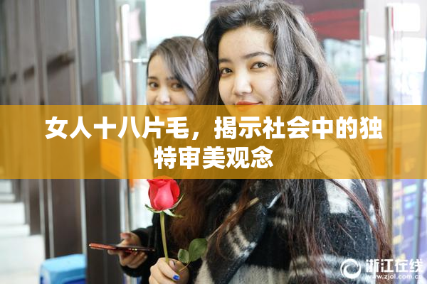 女人十八片毛，揭示社会中的独特审美观念