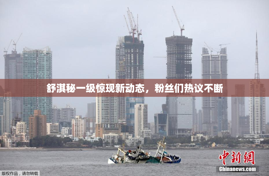 舒淇秘一级惊现新动态，粉丝们热议不断