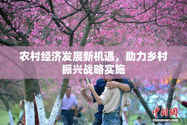 农村经济发展新机遇，助力乡村振兴战略实施