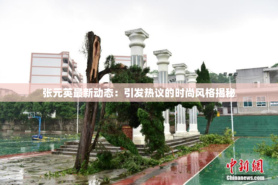 张元英最新动态：引发热议的时尚风格揭秘