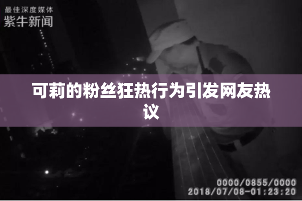 可莉的粉丝狂热行为引发网友热议