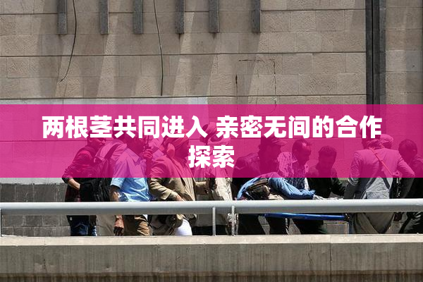两根茎共同进入 亲密无间的合作探索