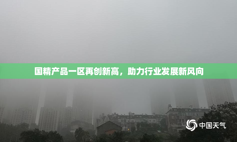 国精产品一区再创新高，助力行业发展新风向