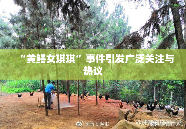 “黄鳝女琪琪”事件引发广泛关注与热议