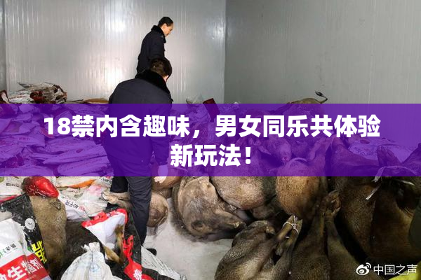 18禁内含趣味，男女同乐共体验新玩法！