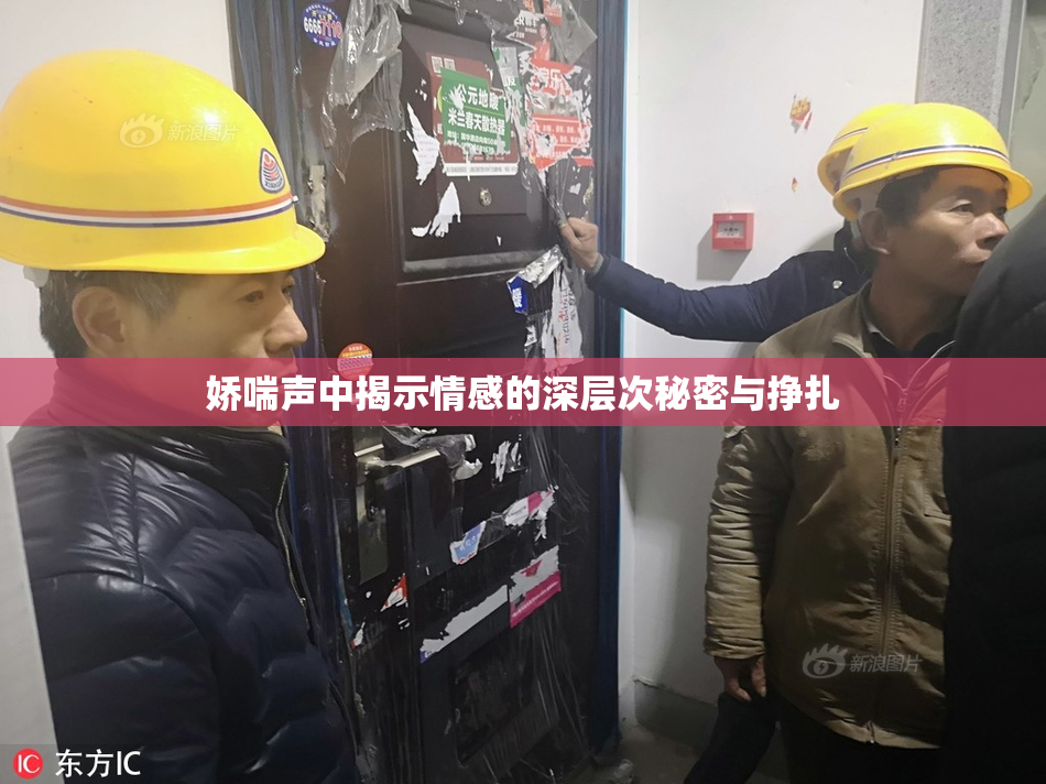 娇喘声中揭示情感的深层次秘密与挣扎