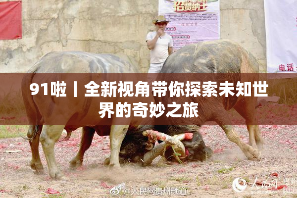 91啦丨全新视角带你探索未知世界的奇妙之旅