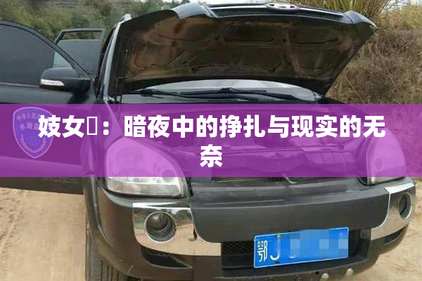 妓女梱：暗夜中的挣扎与现实的无奈