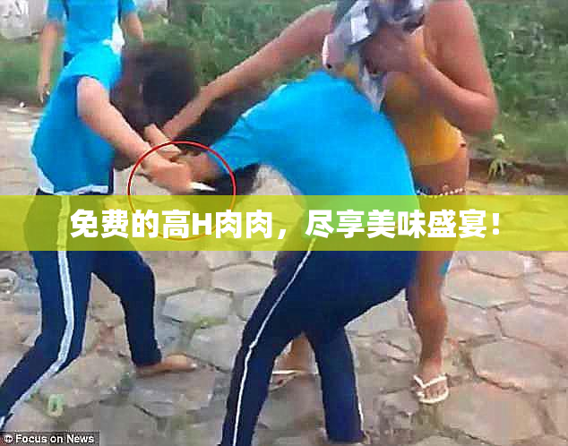 免费的高H肉肉，尽享美味盛宴！