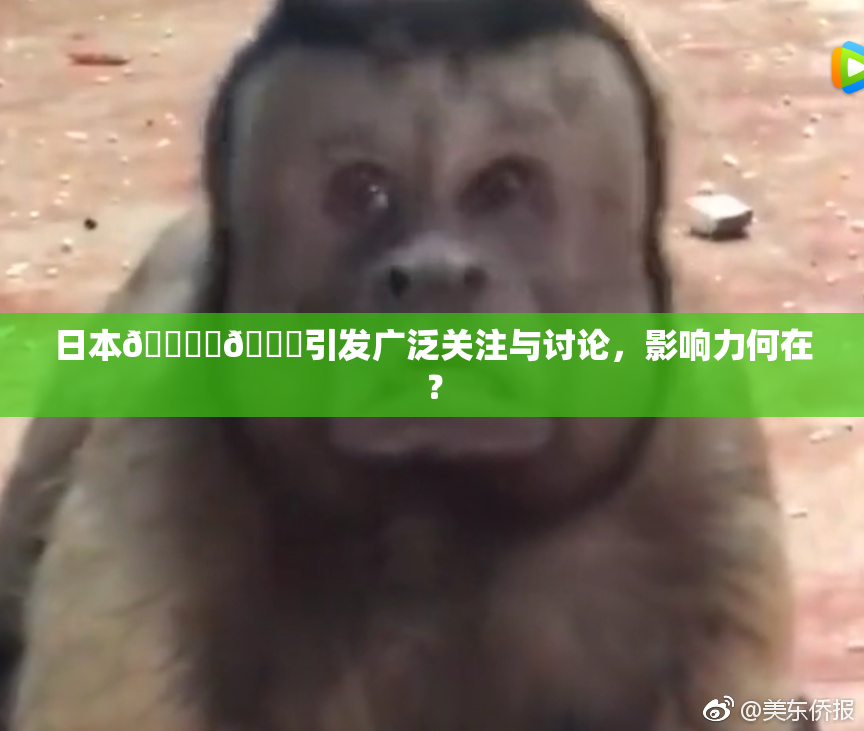 日本🔞‌🍌引发广泛关注与讨论，影响力何在？