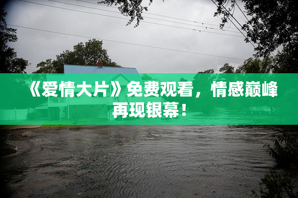 《爱情大片》免费观看，情感巅峰再现银幕！