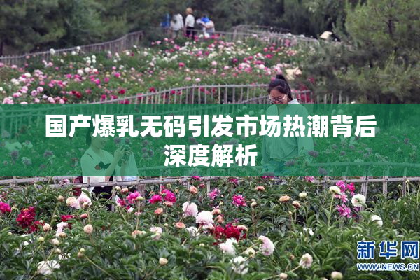 国产爆乳无码引发市场热潮背后深度解析