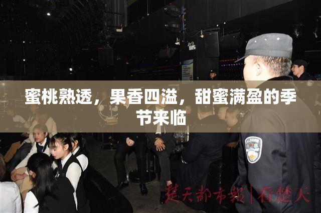 蜜桃熟透，果香四溢，甜蜜满盈的季节来临