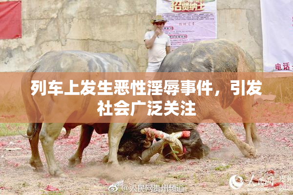 列车上发生恶性淫辱事件，引发社会广泛关注