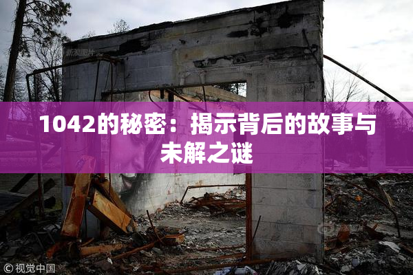 1042的秘密：揭示背后的故事与未解之谜
