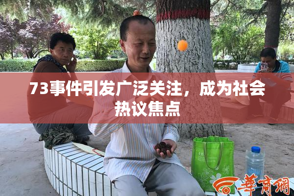 73事件引发广泛关注，成为社会热议焦点