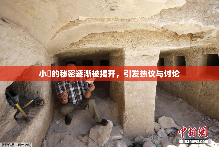 小泬的秘密逐渐被揭开，引发热议与讨论