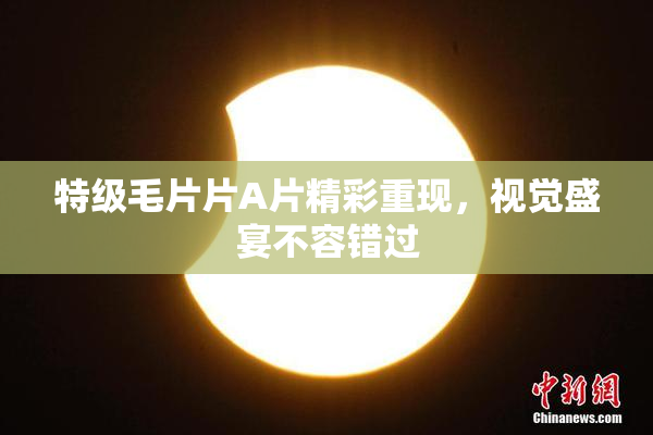 特级毛片片A片精彩重现，视觉盛宴不容错过