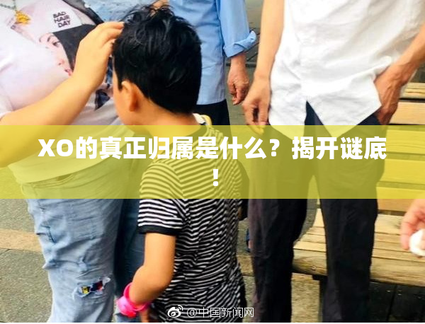 XO的真正归属是什么？揭开谜底！
