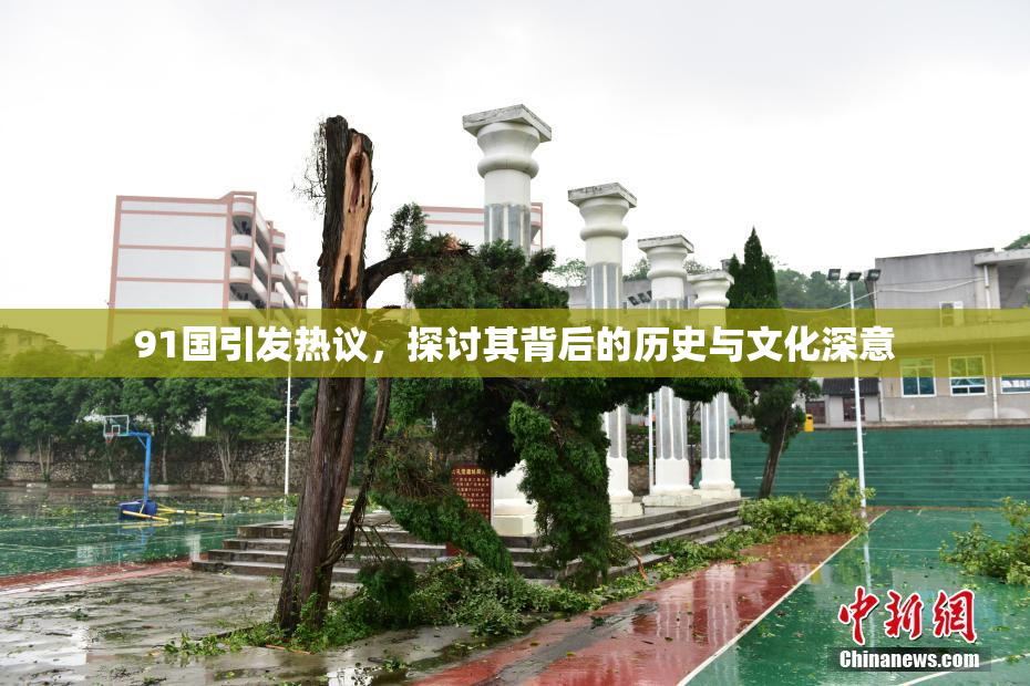 91国引发热议，探讨其背后的历史与文化深意